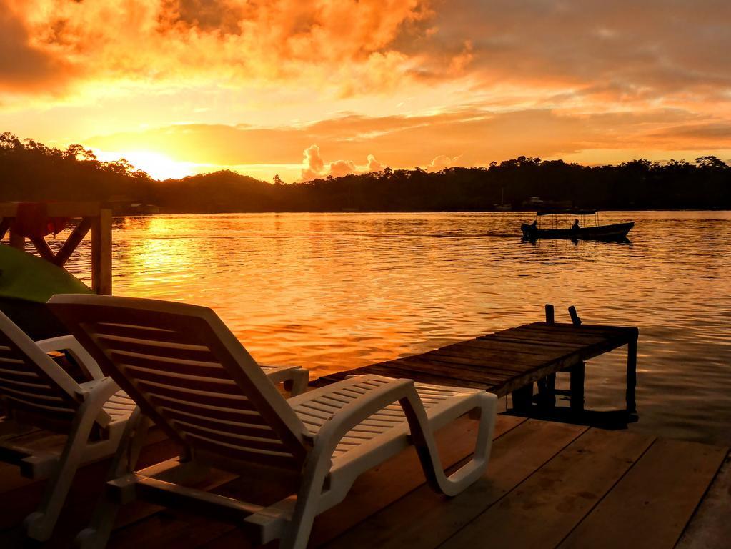 El Jaguar Hostel โบกัสทาวน์ ภายนอก รูปภาพ